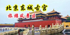 抠逼鸡巴网战中国北京-东城古宫旅游风景区